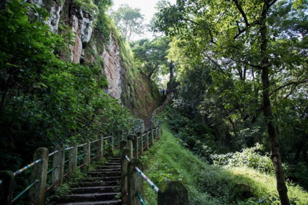 tiger point