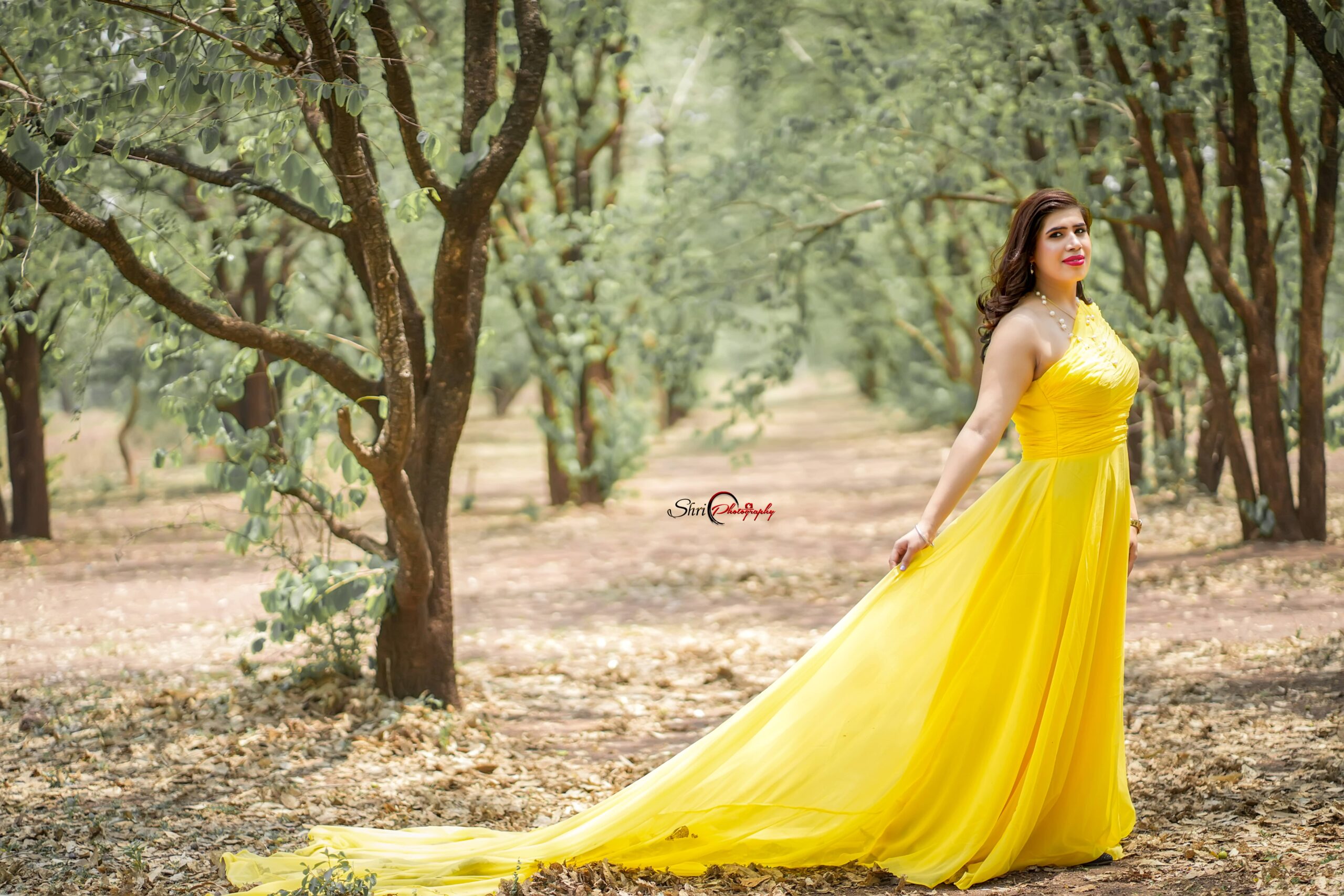 raipur pre wedding
