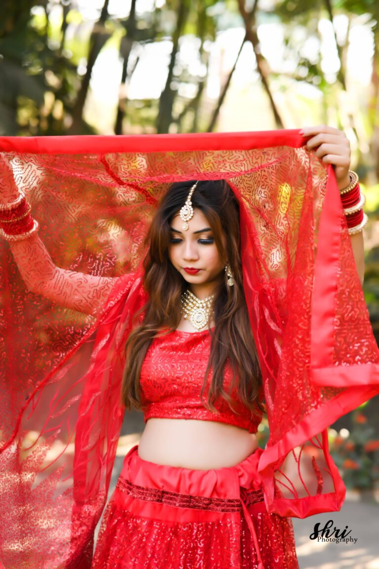bhilai model portfolio
